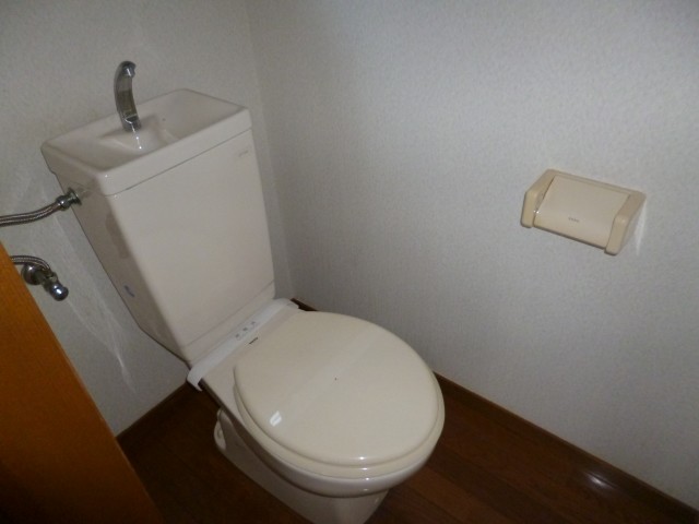 Toilet. Toilet with cleanliness