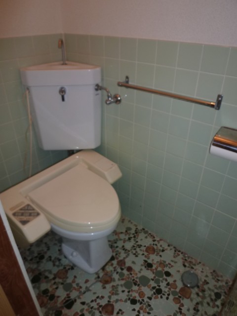 Toilet. Toilet with a bidet