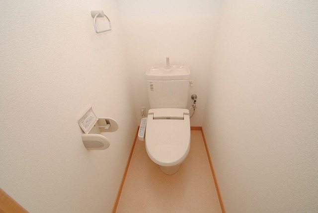 Toilet. The same type Similar photo