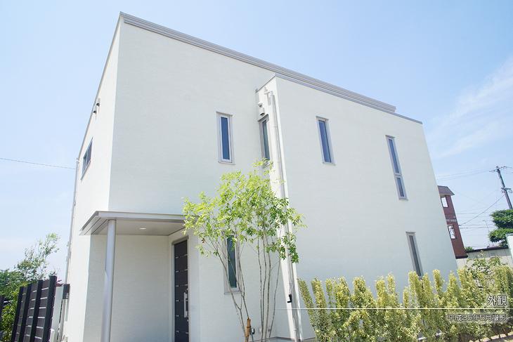 Local appearance photo.  [-] Appearance Photo] 2013 May shooting