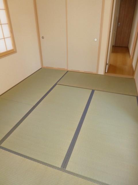 Other introspection. Japanese style room