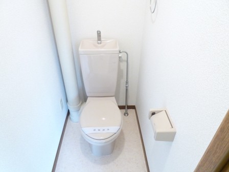 Toilet. Toilet