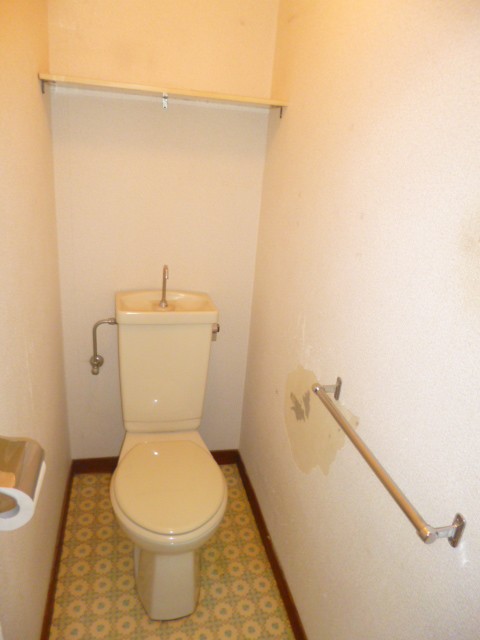 Toilet. It comes with a shelf and towel rail!