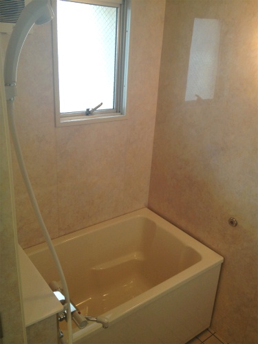 Bath. Bathroom with thermostat! Also with window!