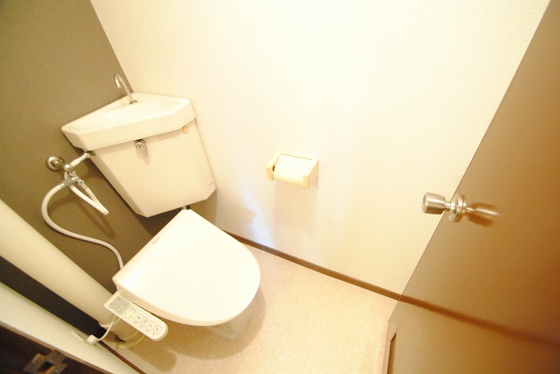 Toilet. The same type Similar photo
