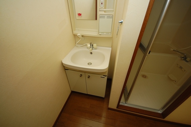 Washroom. Interior image: the same apartment a separate room