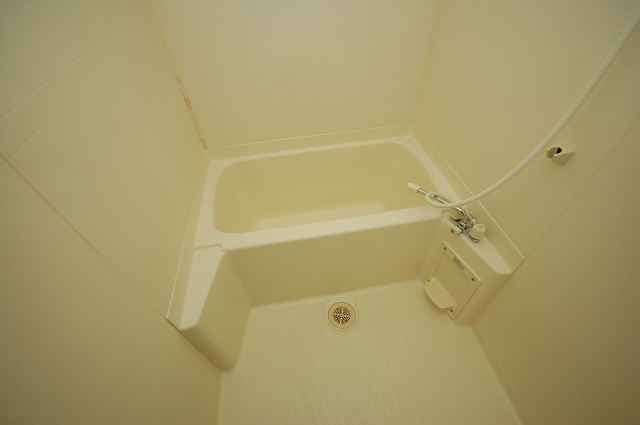 Bath. Interior image: the same apartment a separate room