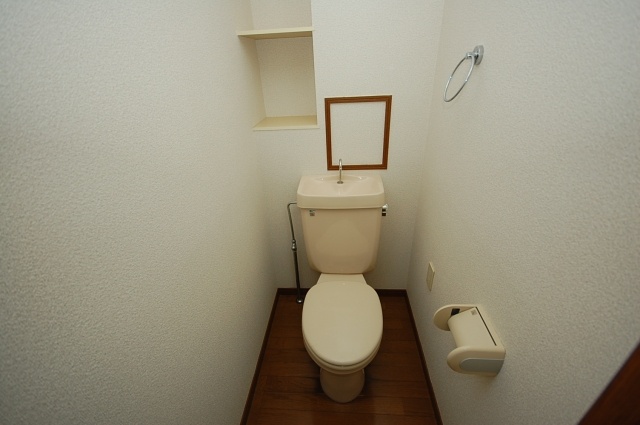 Toilet. Interior image: the same apartment a separate room