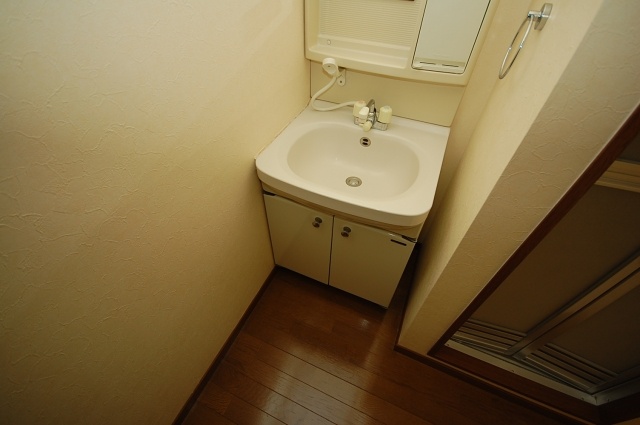 Washroom. Interior image: the same apartment a separate room