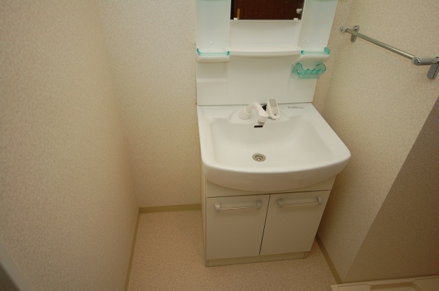 Washroom. Interior image: the same apartment a separate room