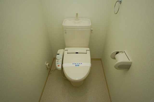 Toilet. Interior image: the same apartment a separate room