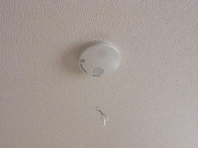 Other. The photograph is a property of the same manufacturer and construction