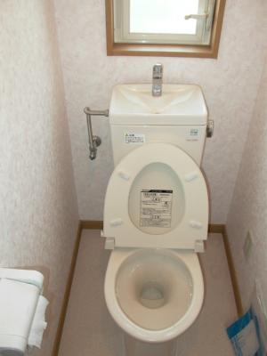 Other. Toilet with cleanliness