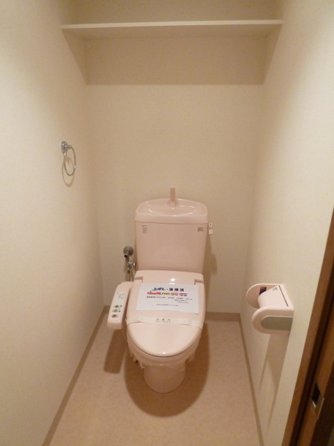 Toilet. Even comes with a bidet