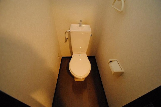 Toilet. Interior image: the same apartment a separate room