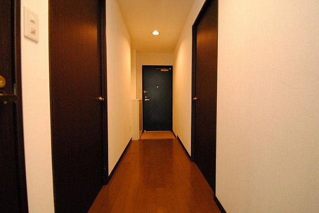 Entrance. Interior image: the same apartment a separate room