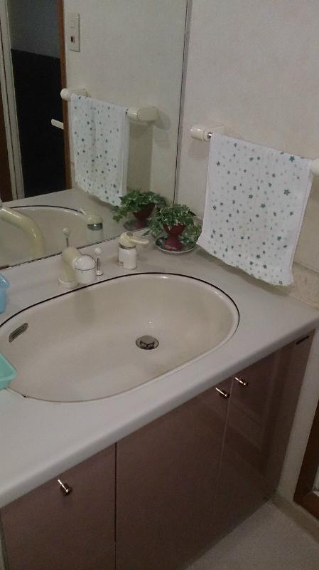 Wash basin, toilet. Plenty of vanity also lower receiving
