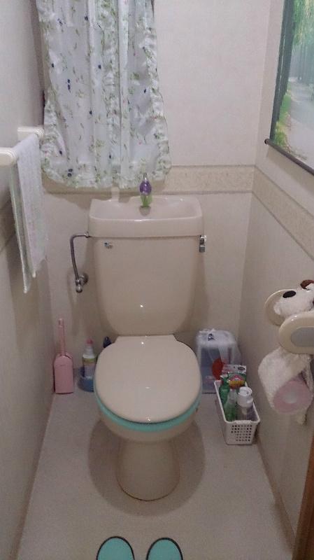 Toilet. Toilet with storage shelf