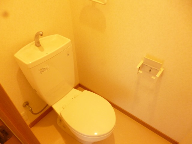 Toilet. Toilet