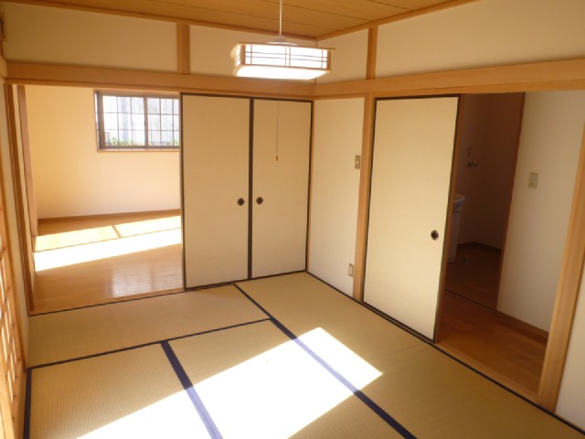 Other room space. Living and continuation of the Japanese-style room