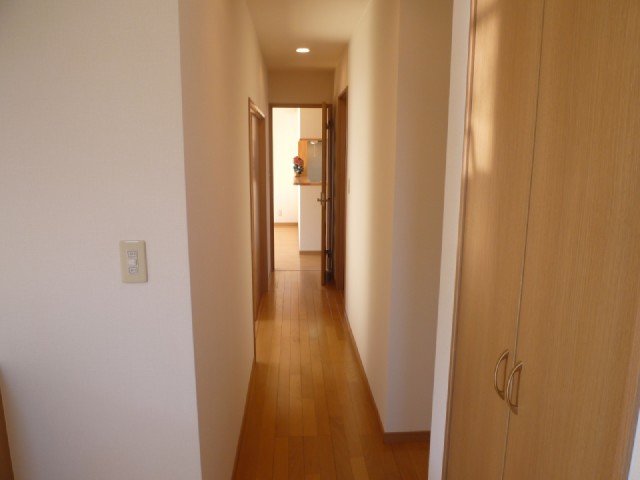 Other room space. Hallway from the entrance to the living room