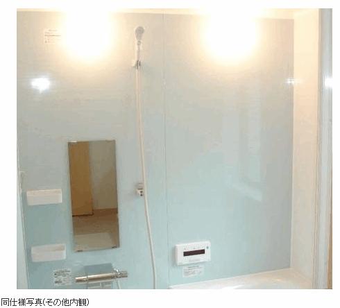 Other. The photograph is the same type