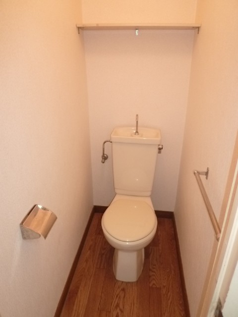 Toilet. Toilet with a shelf