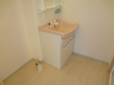 Washroom. Washbasin undressing space and