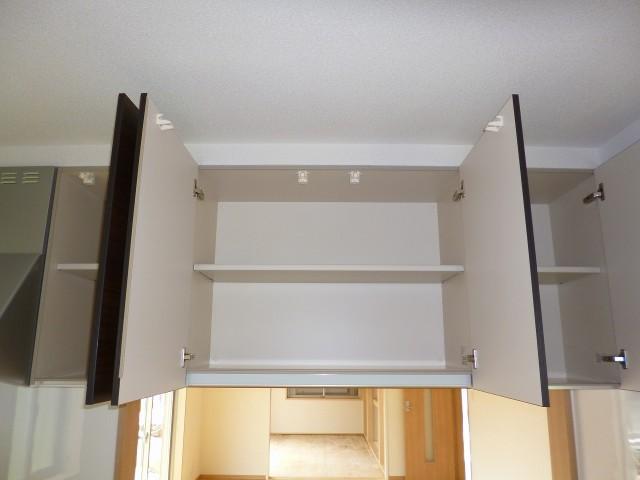 Other introspection. Hanging door Bookshelf storage