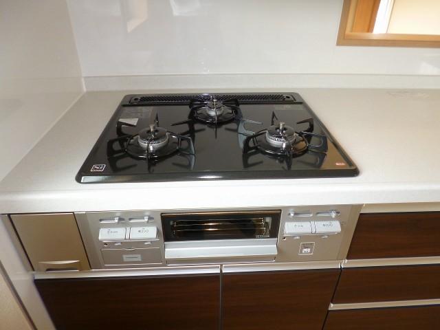 Other introspection. Kitchen range