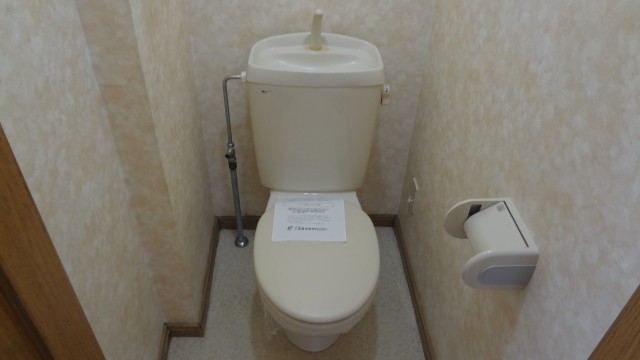 Toilet. It is a flush toilet