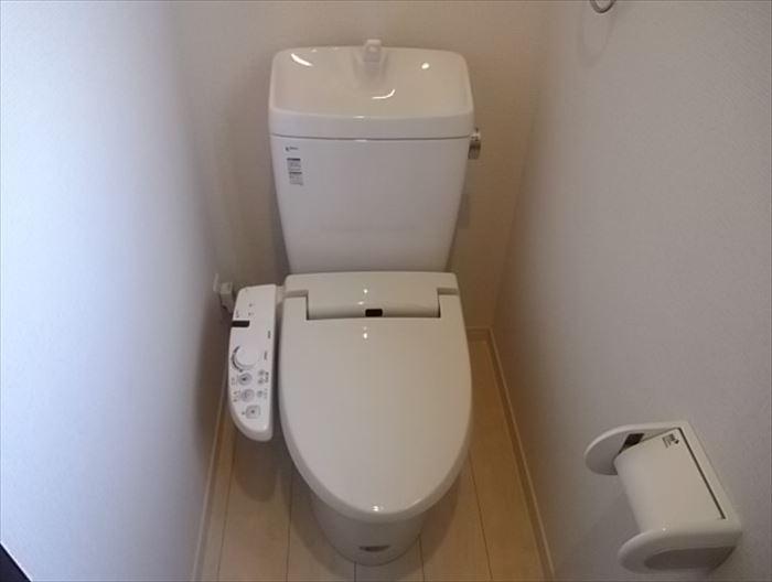 Toilet. Clean toilet
