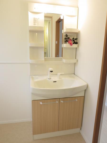 Wash basin, toilet. Vanity with new shower