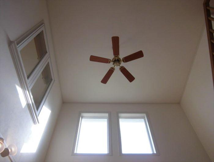 Living. Atrium of the loose space