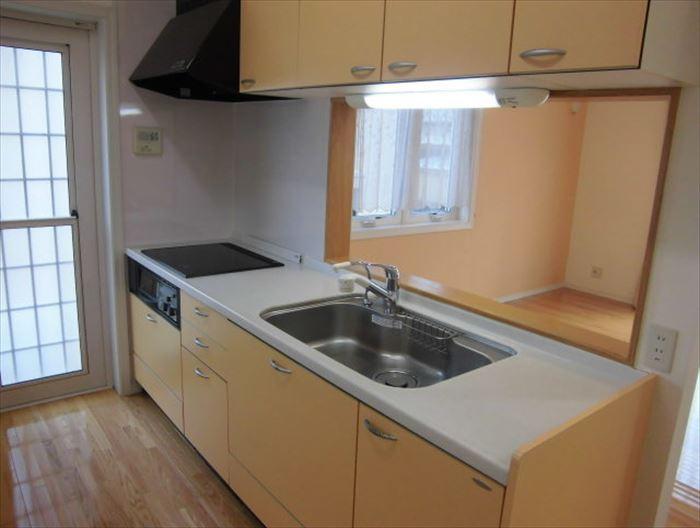 Kitchen. Popular face-to-face kitchen