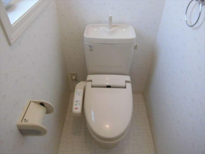 Toilet. Bidet with toilet