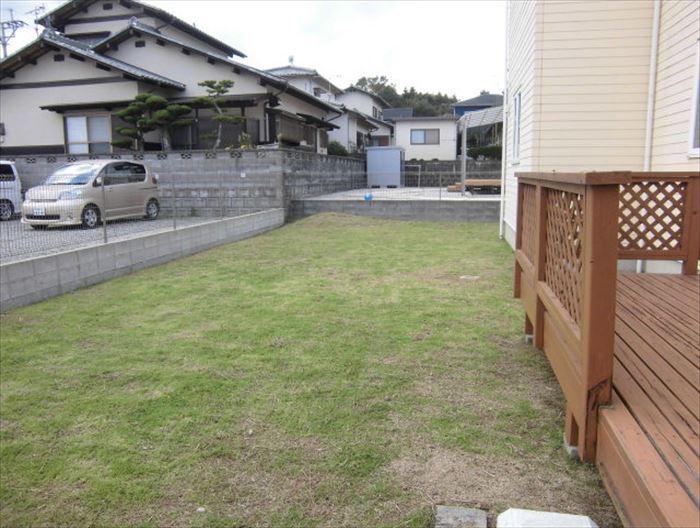 Garden. Backyard with space