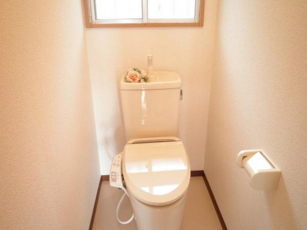 Toilet. Cold winter comfort, New goods with hot water wash.