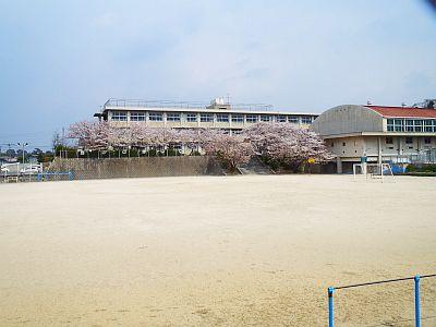 Primary school. Up to the intermediate municipal middle east Elementary School 931m