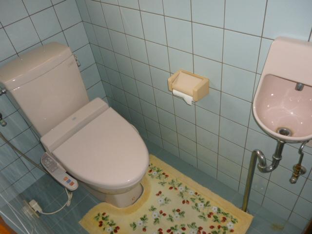 Toilet. Indoor (12 May 2013) Shooting