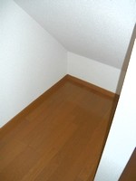 Other room space. Stairs under storage