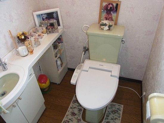 Toilet. Indoor (June 2013) Shooting