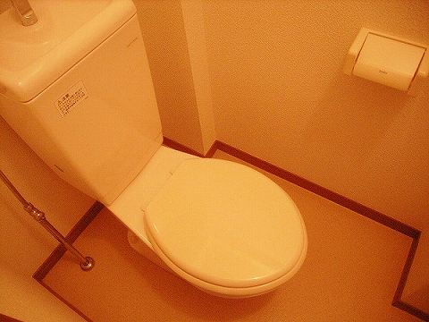 Other room space. Toilet