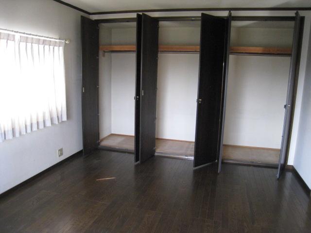 Other introspection. There is a large closet