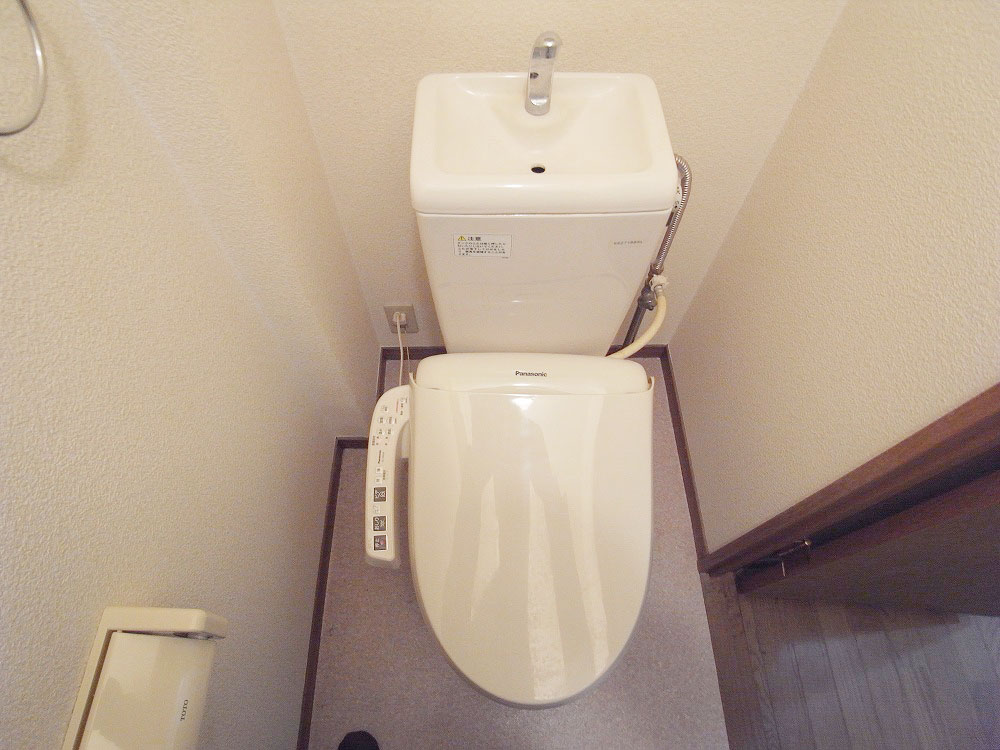 Toilet. Friendly in the ass with a bidet
