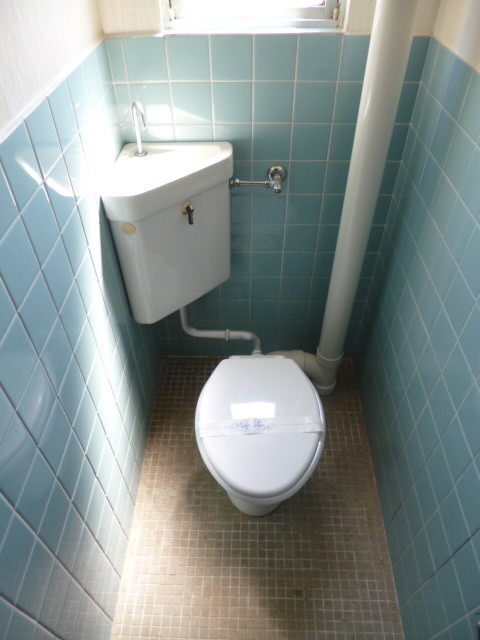 Toilet. This is the inverting type