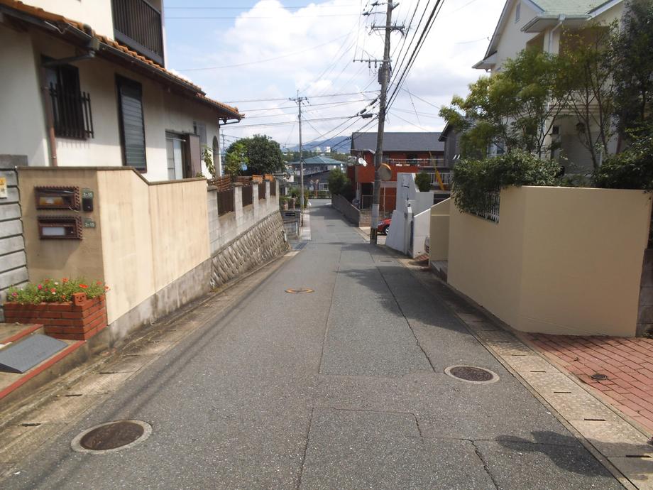 Other. Frontal road