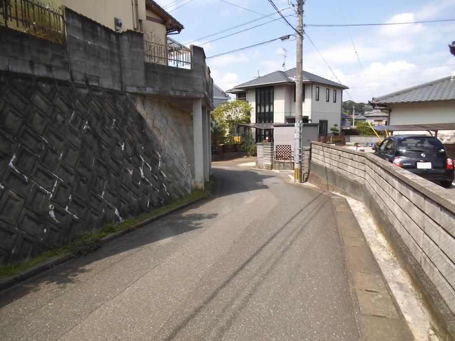 Other. Frontal road