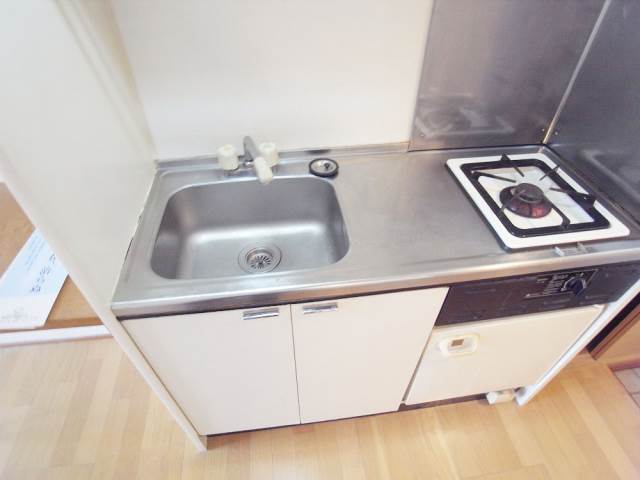 Kitchen. Gas stove & fridge