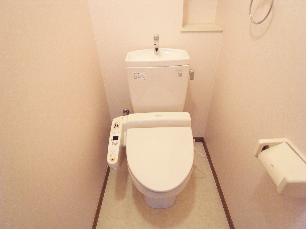 Toilet. Friendly in the ass with a bidet